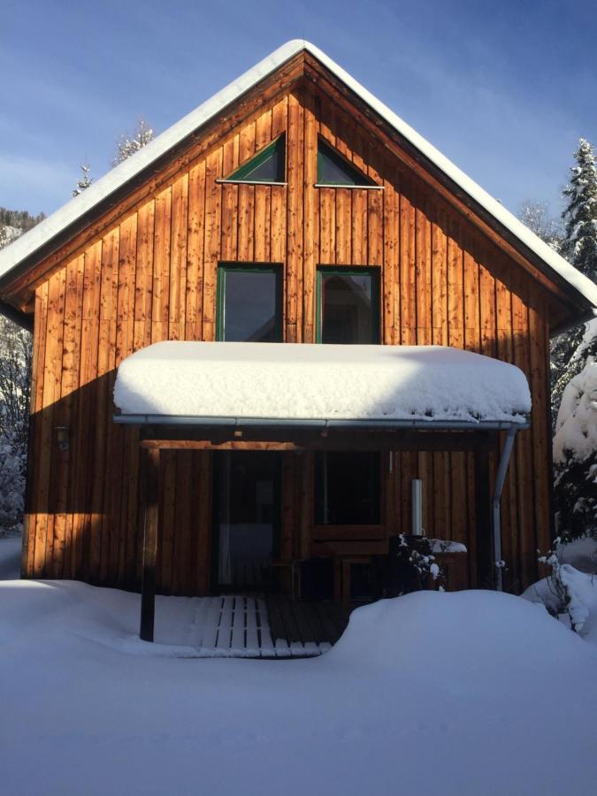 Alpenferienhaus Sophia Sankt Lorenzen ob Murau Εξωτερικό φωτογραφία