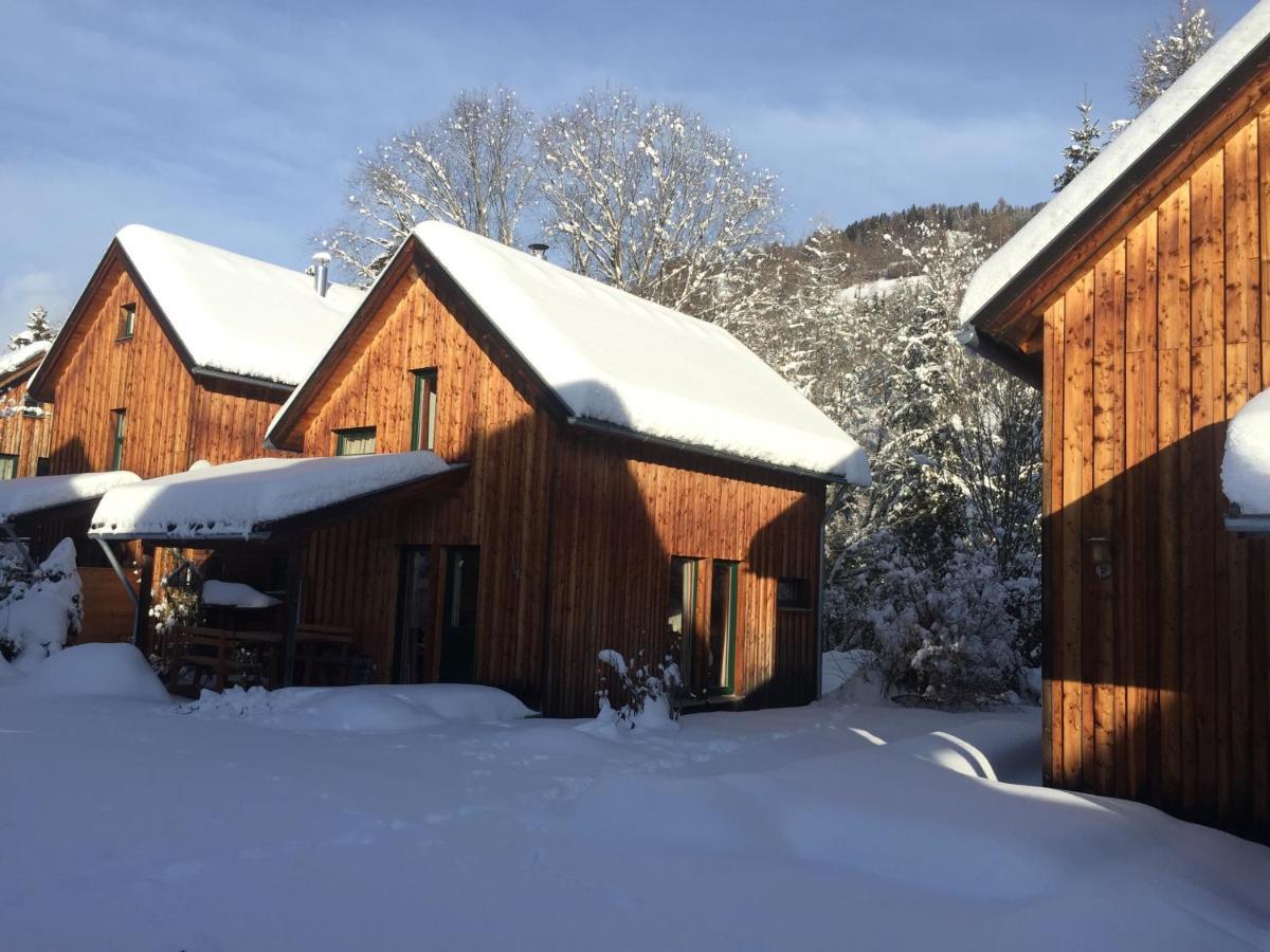 Alpenferienhaus Sophia Sankt Lorenzen ob Murau Εξωτερικό φωτογραφία