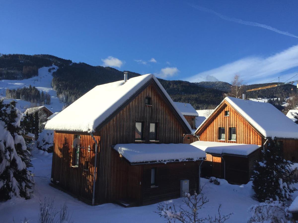 Alpenferienhaus Sophia Sankt Lorenzen ob Murau Εξωτερικό φωτογραφία