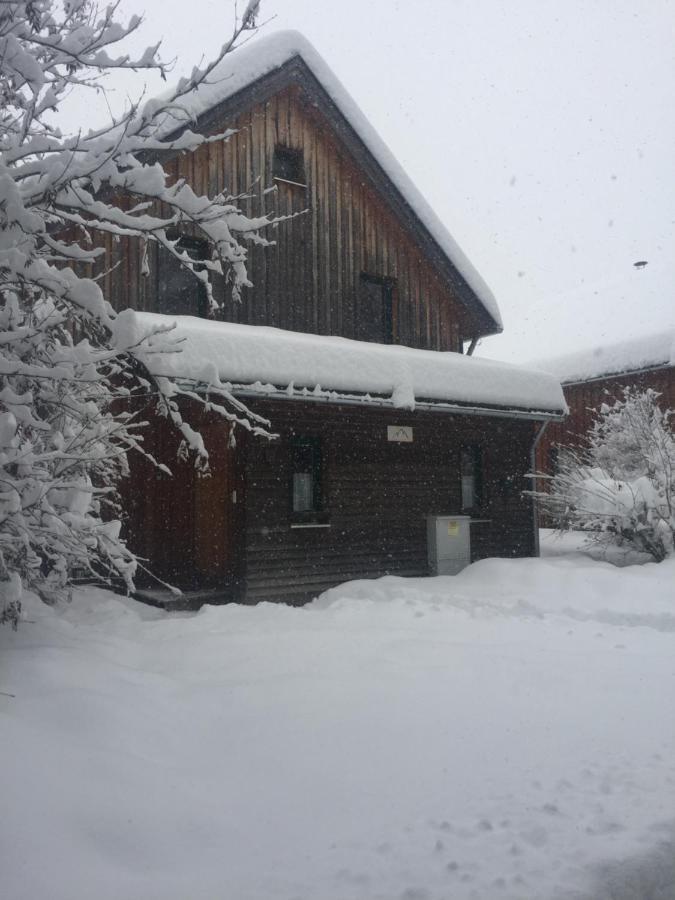 Alpenferienhaus Sophia Sankt Lorenzen ob Murau Εξωτερικό φωτογραφία