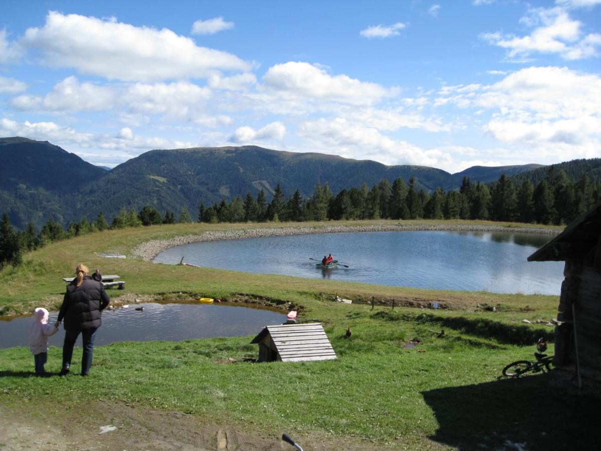 Alpenferienhaus Sophia Sankt Lorenzen ob Murau Εξωτερικό φωτογραφία