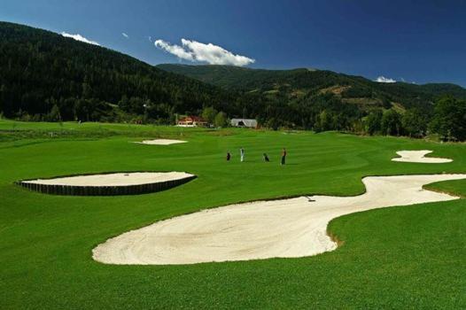 Alpenferienhaus Sophia Sankt Lorenzen ob Murau Εξωτερικό φωτογραφία